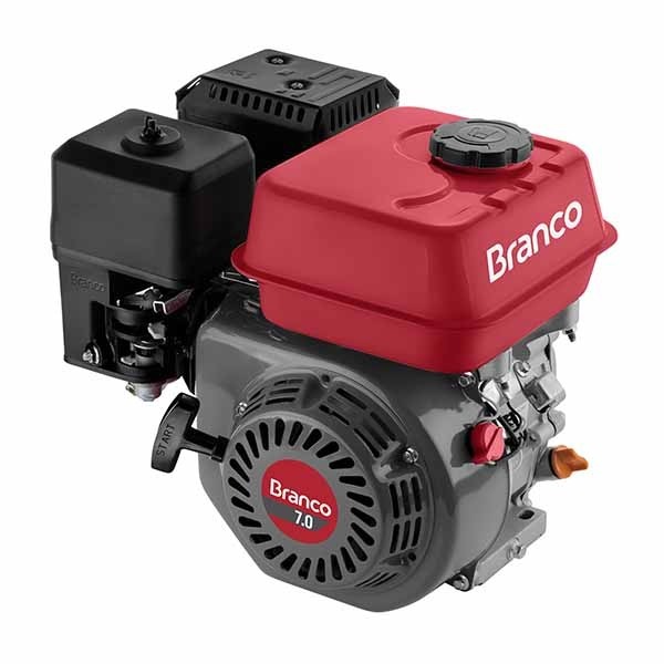 MOTOR BRANCO 7.0HP